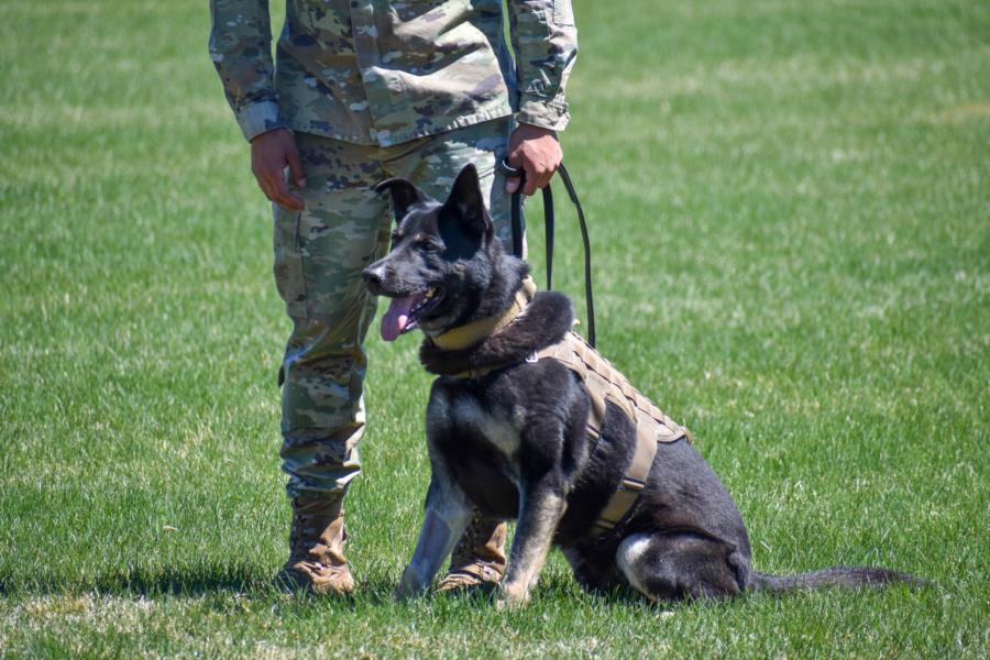 USAFA K9 Unit demonstrated their skills to CS-08 | USAFA Webguy